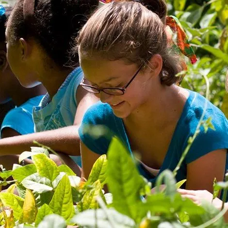 thumbnail for publication: Florida 4-H Exploration: Careers in Horticulture